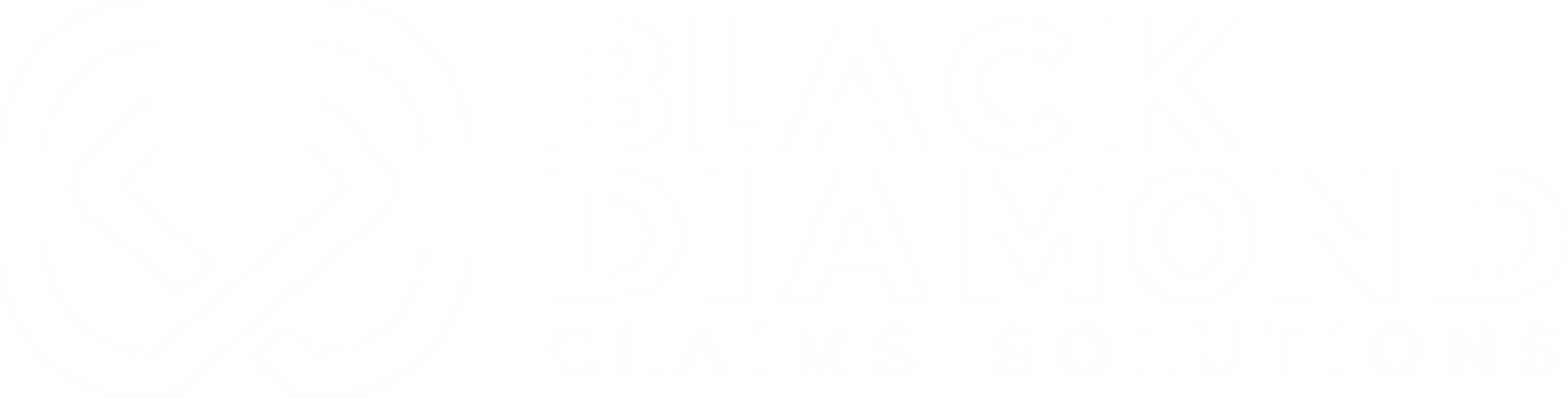 Black Diamond Claims Solutions